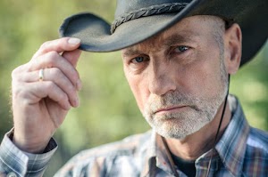 Fantasmatic - fotograf biznesowy place picture