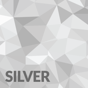 Silver Branding Photoshoot